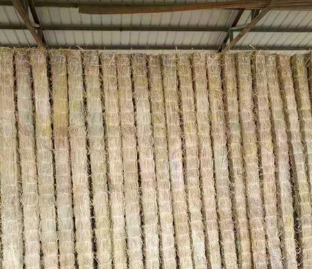 宁夏草支垫 宁夏草支垫