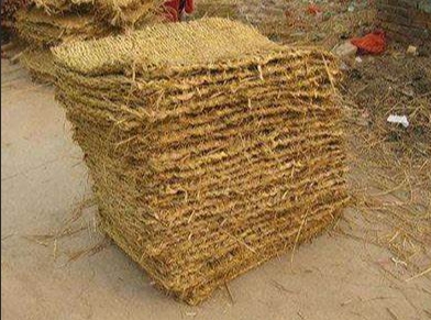 宁夏手机看片成人 宁夏手机看片成人