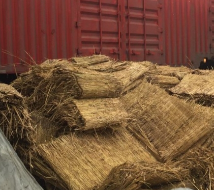 宁夏手机看片91AV