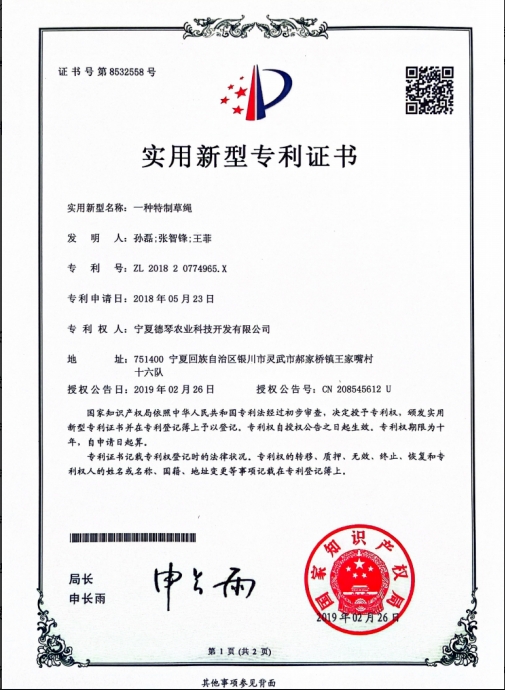 宁夏手机免费看片网站子 宁夏手机免费看片网站子