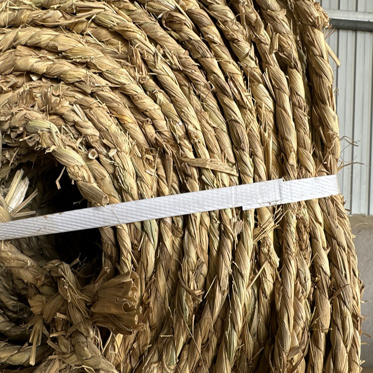 手机免费看片网站销售 手机免费看片网站销售