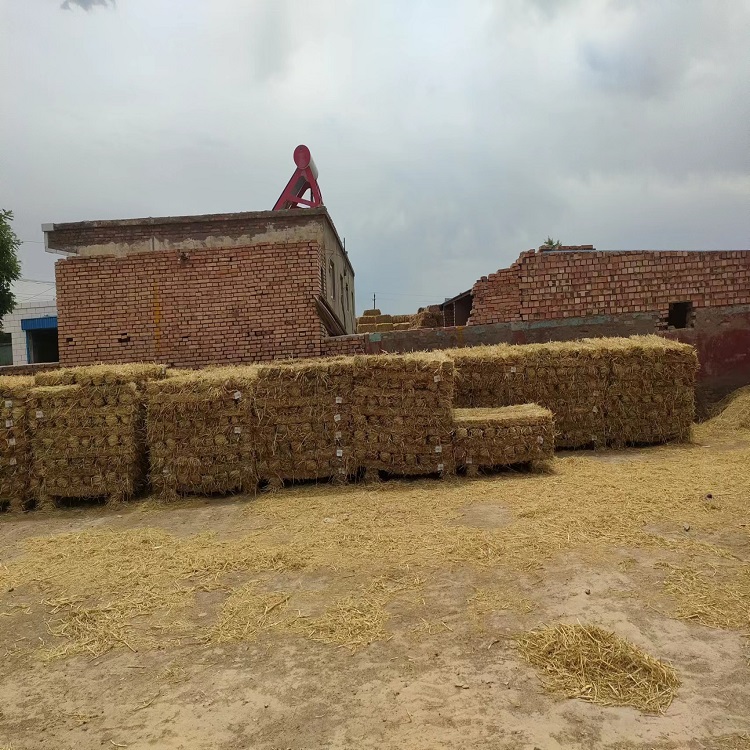 宁夏手机看片91AV子 宁夏手机看片91AV子