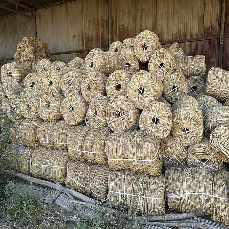 宁夏手机免费看片网站 宁夏手机免费看片网站