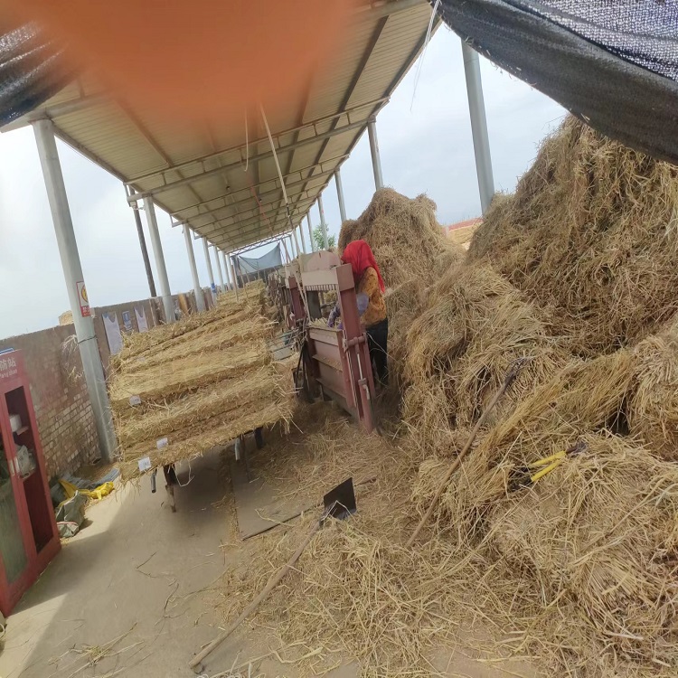 宁夏手机看片91AV 宁夏手机看片91AV