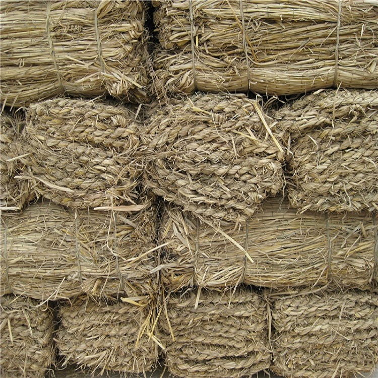 宁夏手机看片成人定制