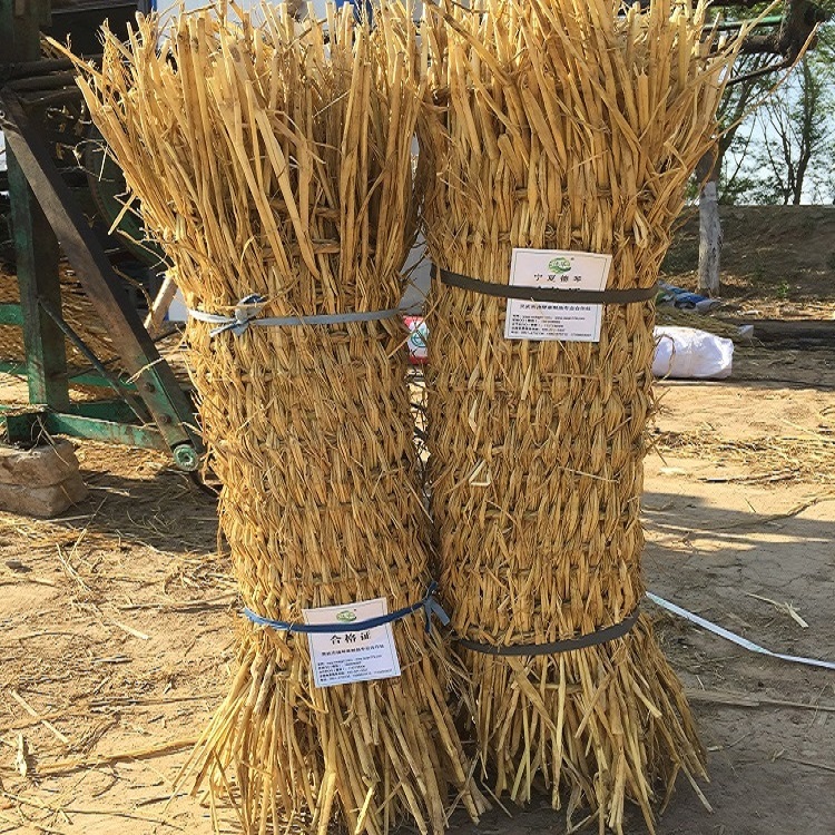 宁夏手机看片91AV子 宁夏手机看片91AV子